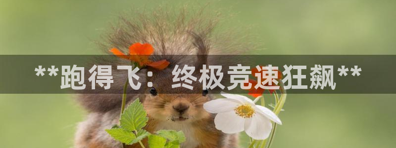 沐鸣娱乐2如何找回密码