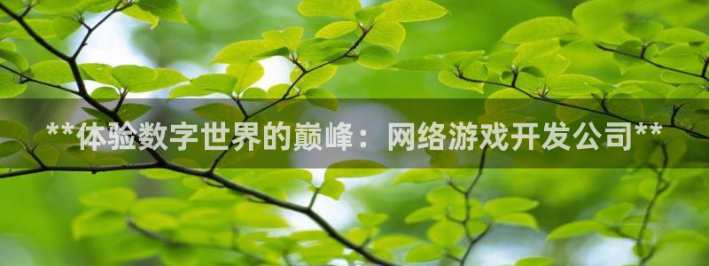 沐鸣2官方注册