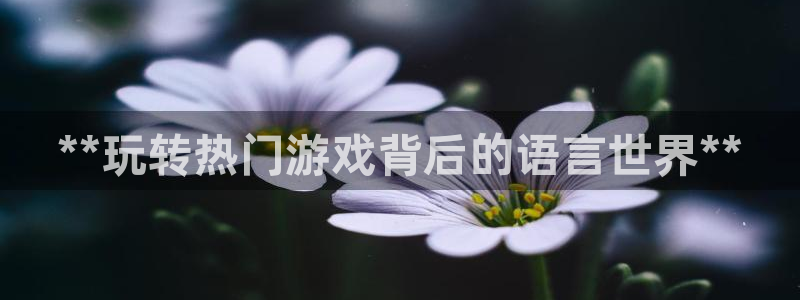 沐鸣2代理酋27337