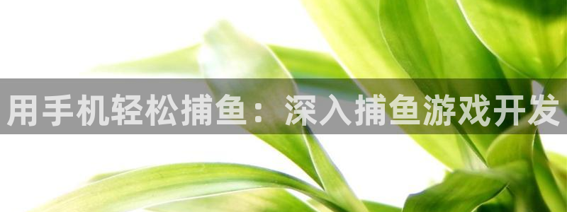 沐鸣娱乐2官方