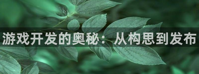 沐鸣2平台招商