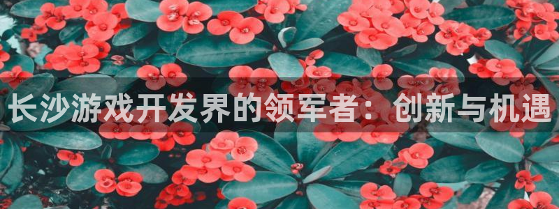 沐鸣娱乐2官网