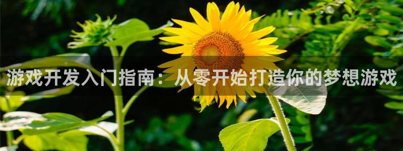 沐鸣2官网 5O6917