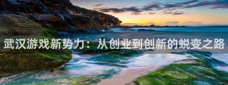沐鸣2注册首页：武汉游戏新势力：从创业到创新的蜕变之路