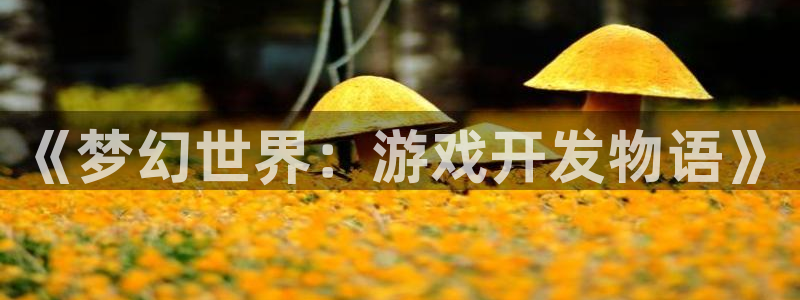 沐鸣2注册：《梦幻世界：游戏开发物语》