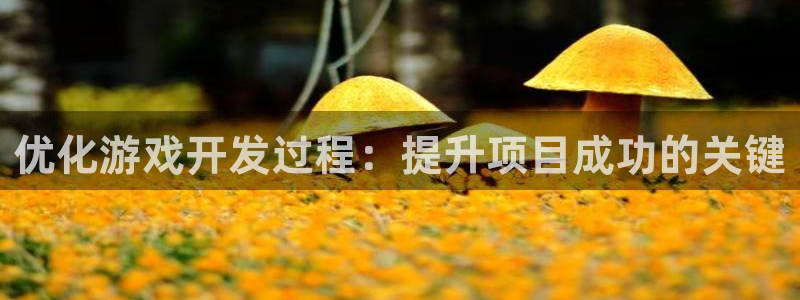 沐鸣娱乐2怎么登录账号：优化游戏开发过程：提升项目成功的关键