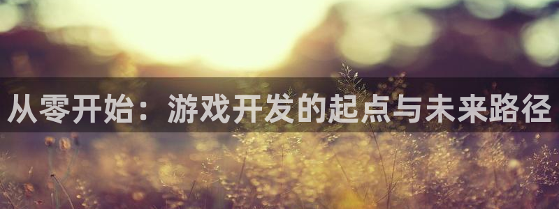 沐鸣娱乐2多彩平台：从零开始：游戏开发的起点与未来路径