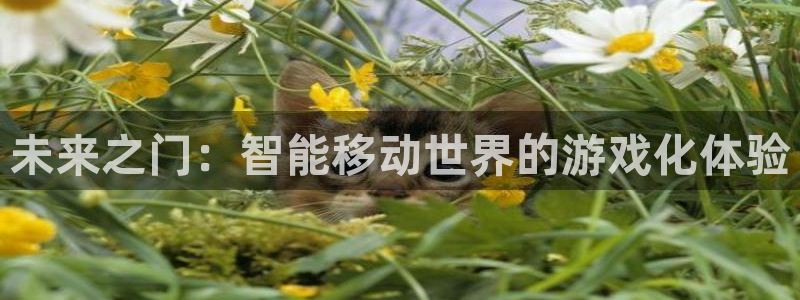 沐鸣2测速登陆
