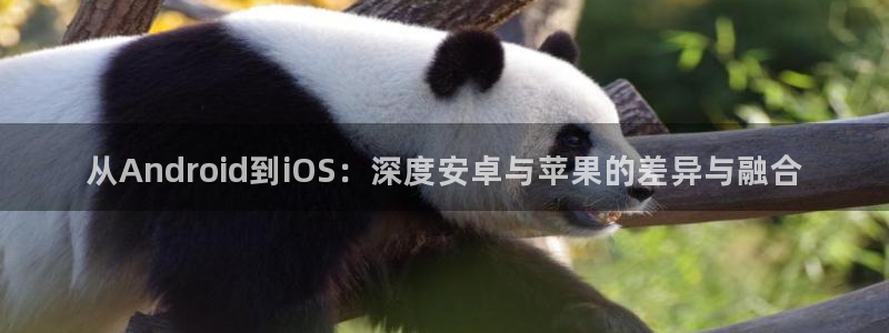 沐鸣娱乐2登录平台官网下载：从Android到iOS：深度安卓与苹果的差异与融合