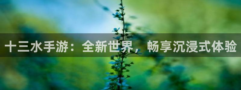 沐鸣娱乐2手机下载官网：十三水手游：全新世界，畅享沉浸式体验