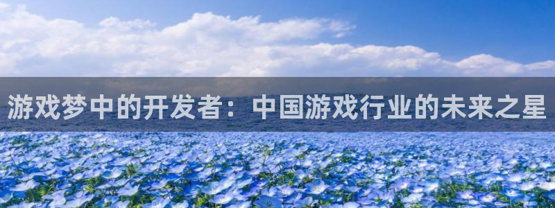 沐鸣2代理：游戏梦中的开发者：中国游戏行业的未来之星