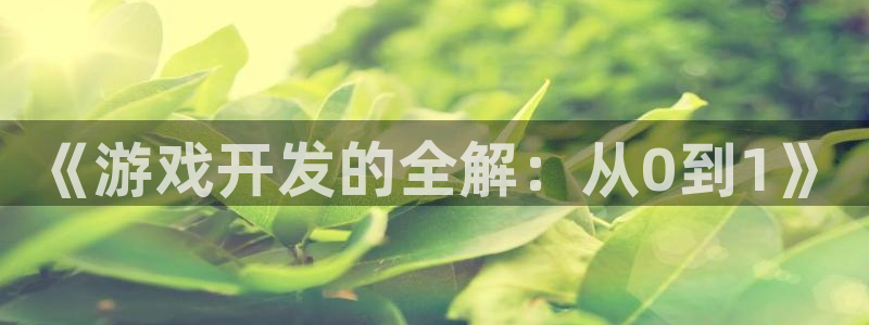 沐鸣娱乐2不能注册：《游戏开发的全解：从0到1》
