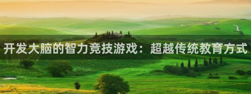 沐鸣娱乐2游戏说明：开发大脑的智力竞技游戏：超越传统教育方式