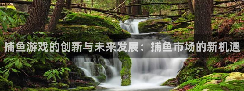 沐鸣娱乐2是正规平台么吗：捕鱼游戏的创新与未来发展：捕鱼市场的新机遇