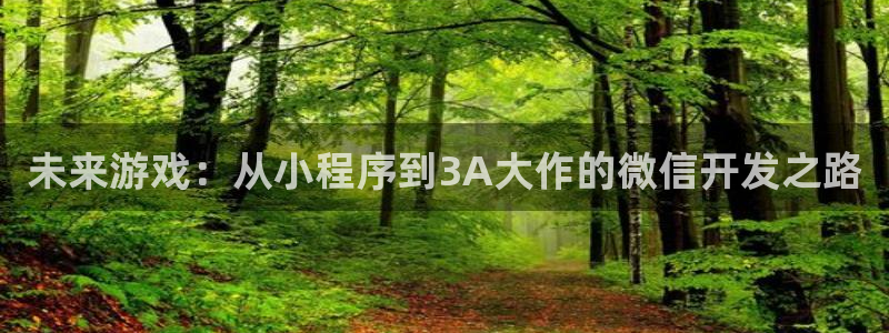 沐鸣娱乐2怎么登录账号：未来游戏：从小程序到3A大作的微信开发之路