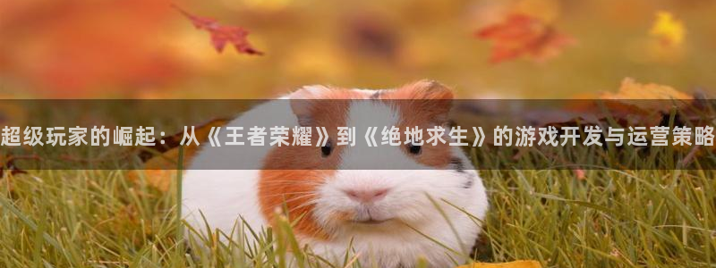 沐鸣娱乐2电脑版