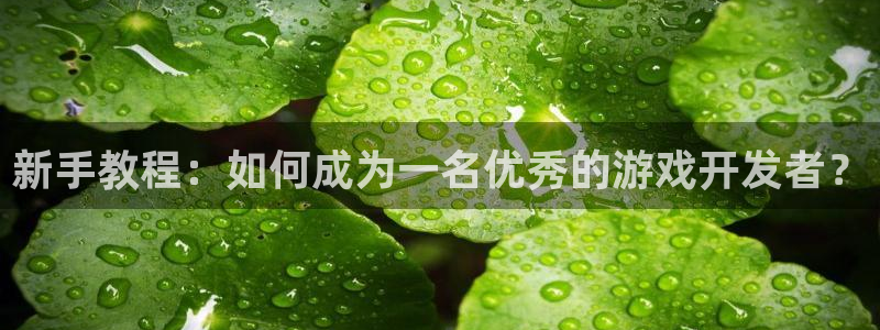 沐鸣2输钱能要回来吗