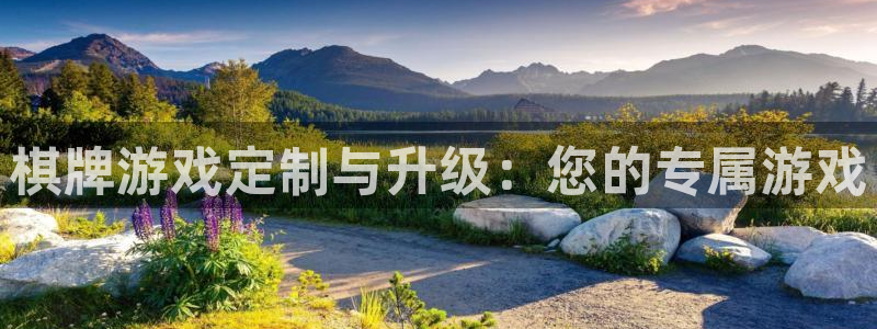 沐鸣2平台官网登录：棋牌游戏定制与升级：您的专属游戏