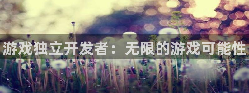 沐鸣2主管：游戏独立开发者：无限的游戏可能性