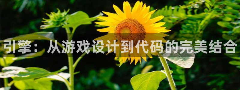 沐鸣2注册连接：引擎：从游戏设计到代码的完美结合