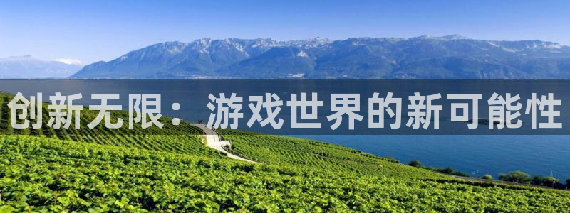 沐鸣2平台注册：创新无限：游戏世界的新可能性