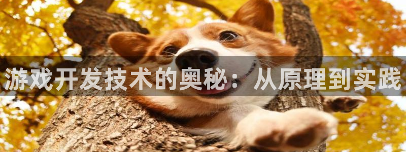 沐鸣2首页登录：游戏开发技术的奥秘：从原理到实践